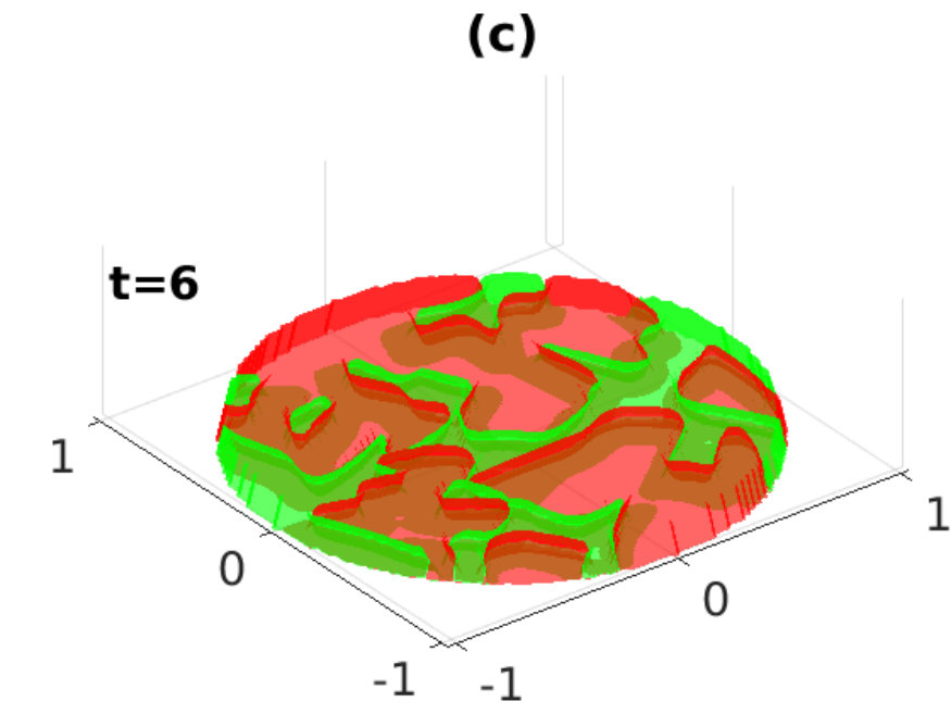 Figure 5