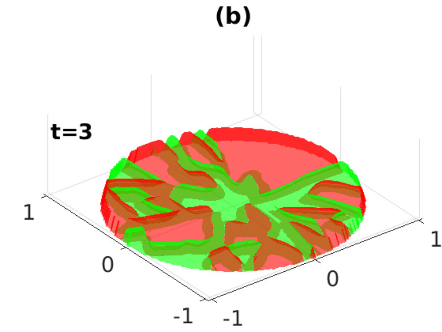 Figure 7