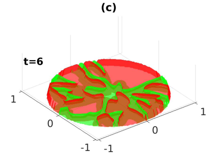 Figure 8
