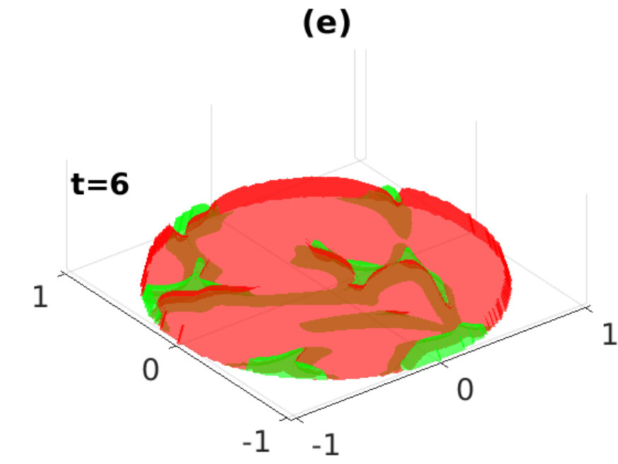 Figure 15