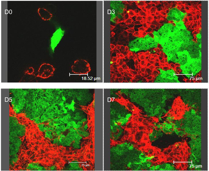 Figure 23