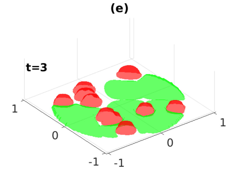 Figure 31