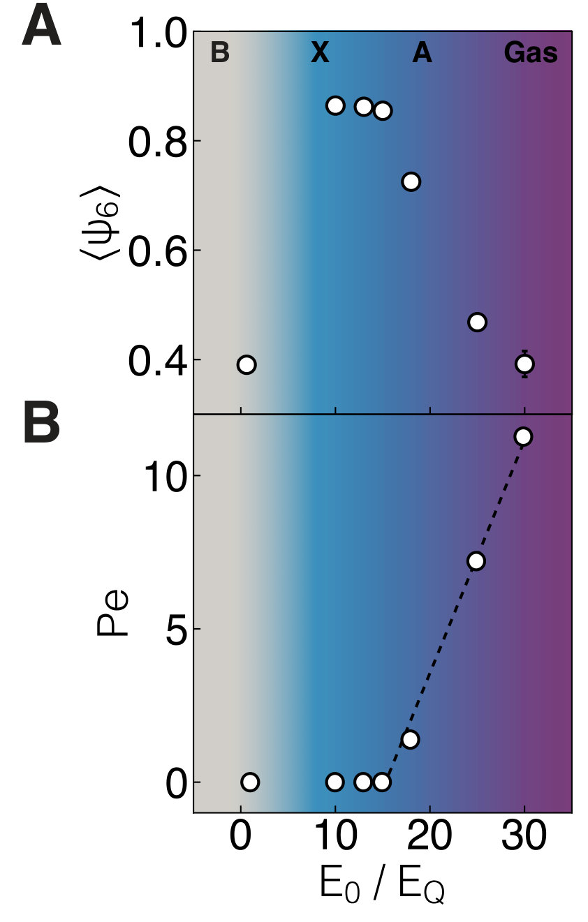 Figure 8