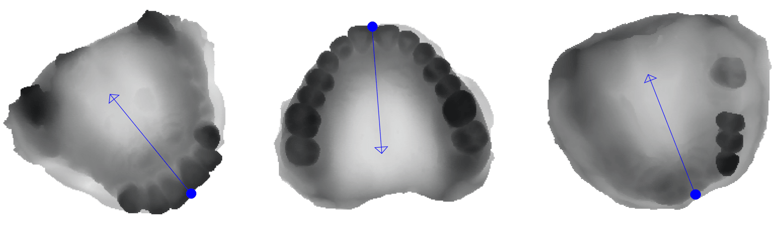 Figure 28