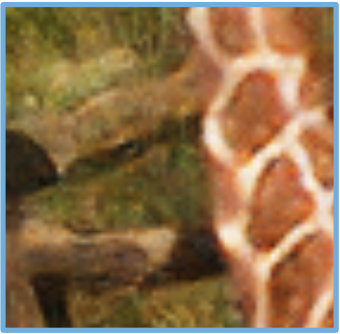 Figure 8