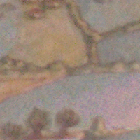 Figure 31