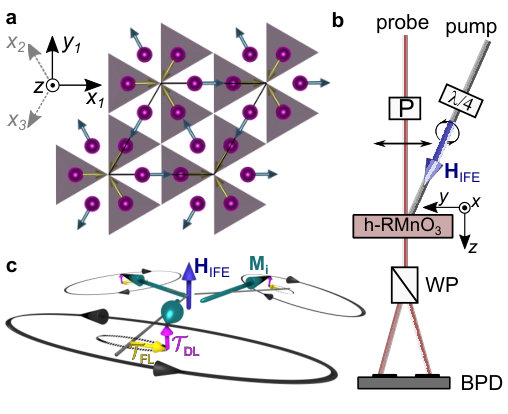Figure 5