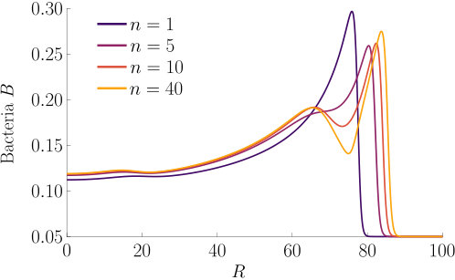 Figure 27