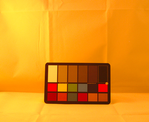 Figure 13