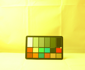 Figure 19