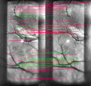 Figure 8
