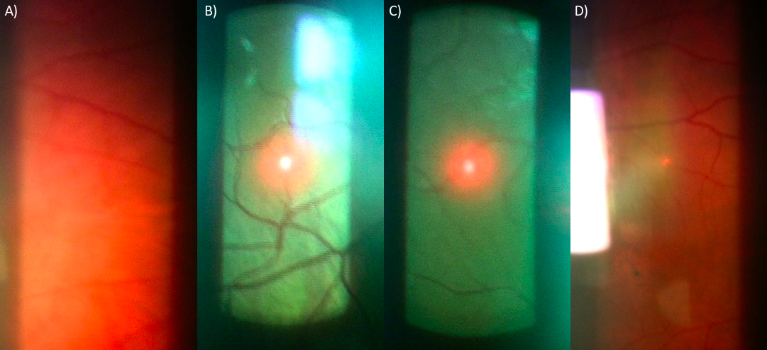 Figure 10