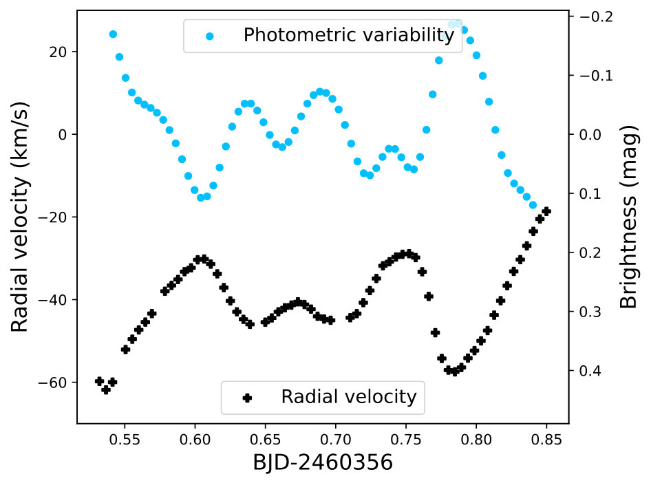 Figure 24