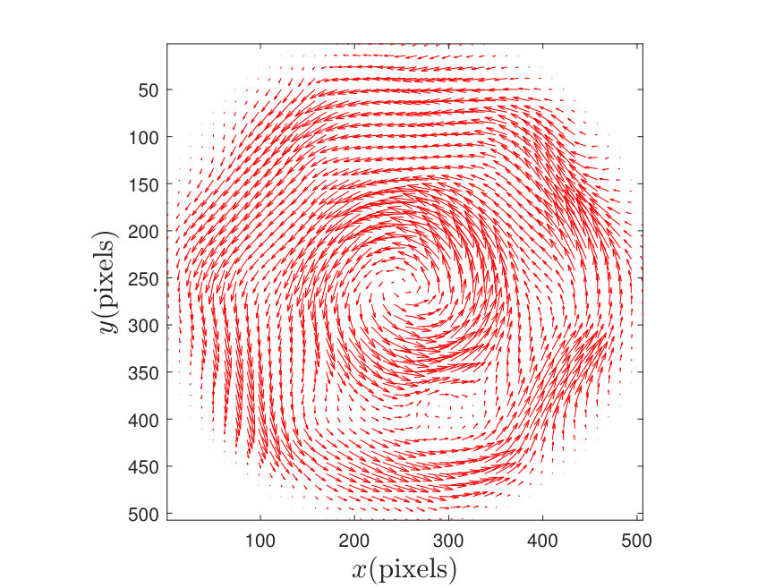 Figure 28