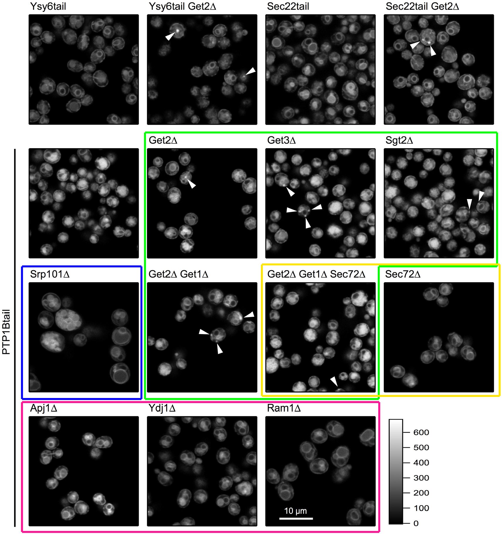 Figure 10