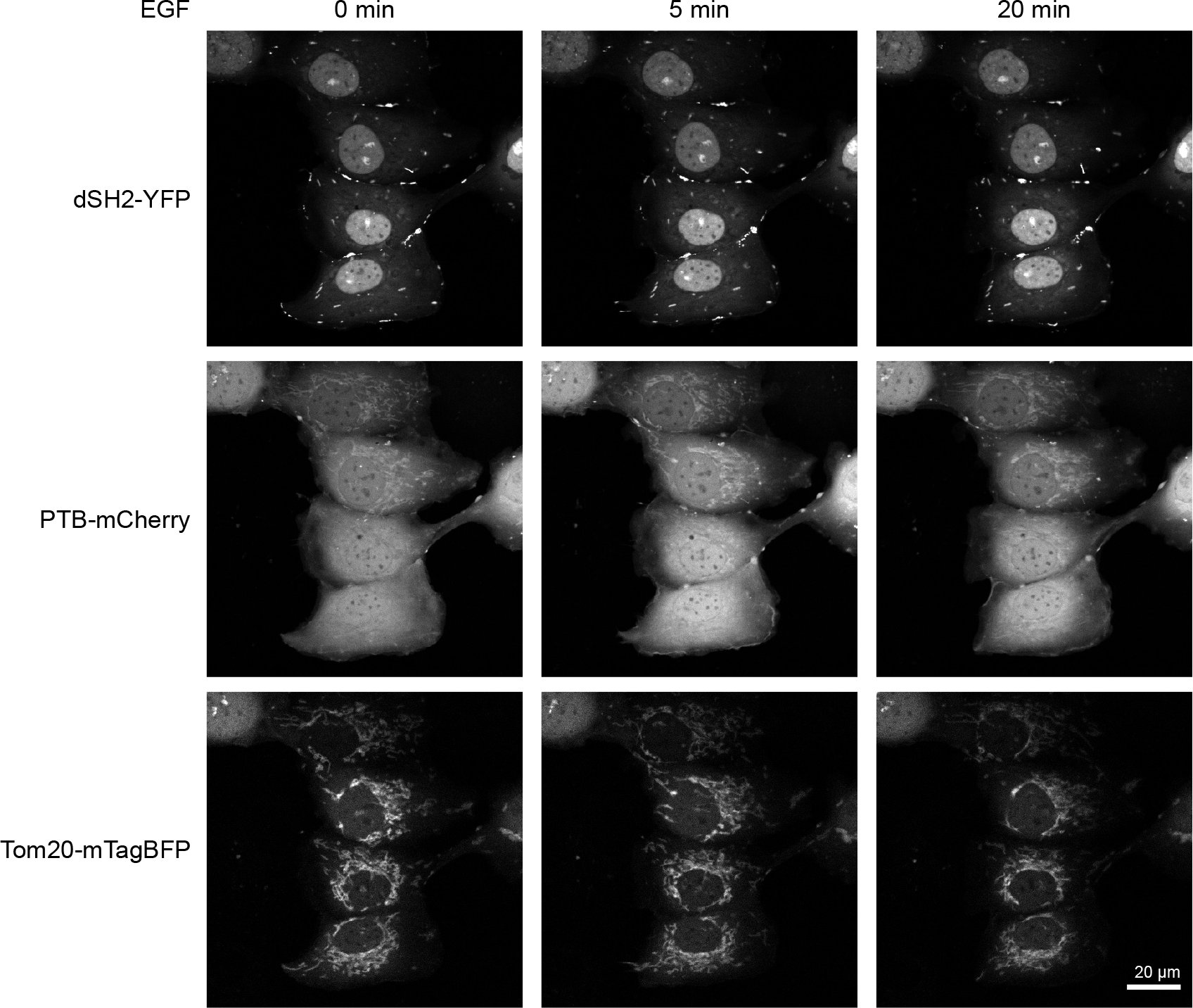 Figure 16