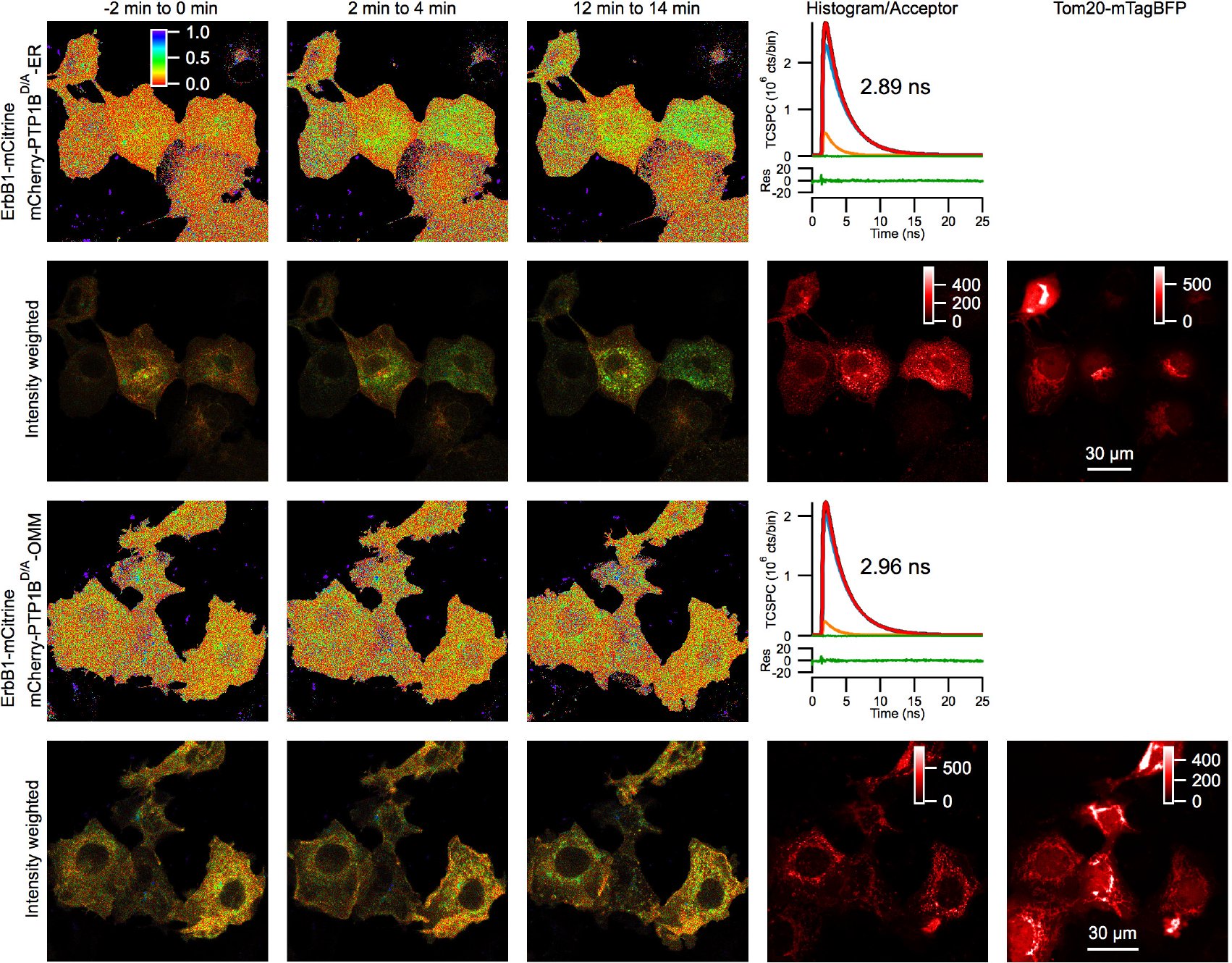Figure 19