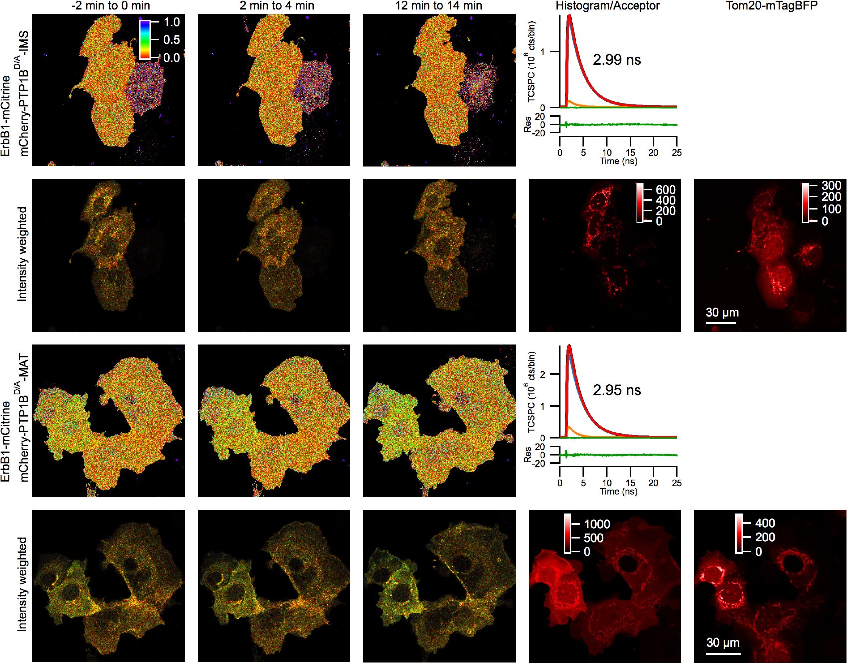 Figure 20