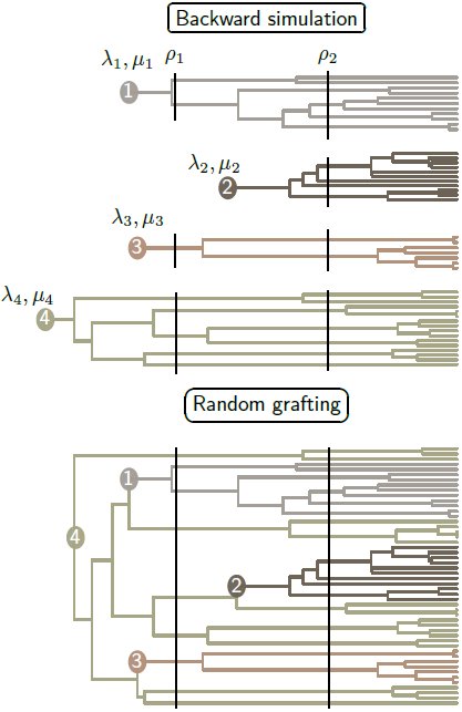 Figure 1 –