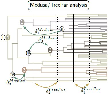 Figure 2 –