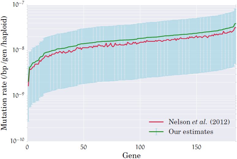 Figure 12
