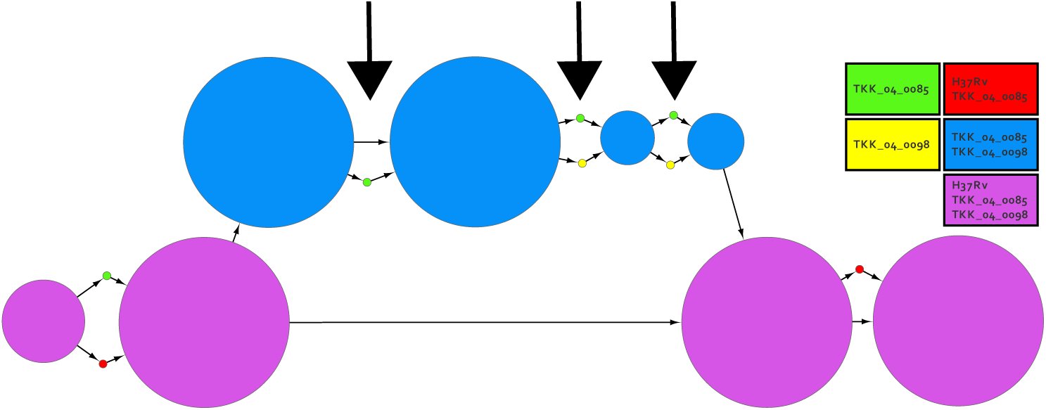 Figure 9