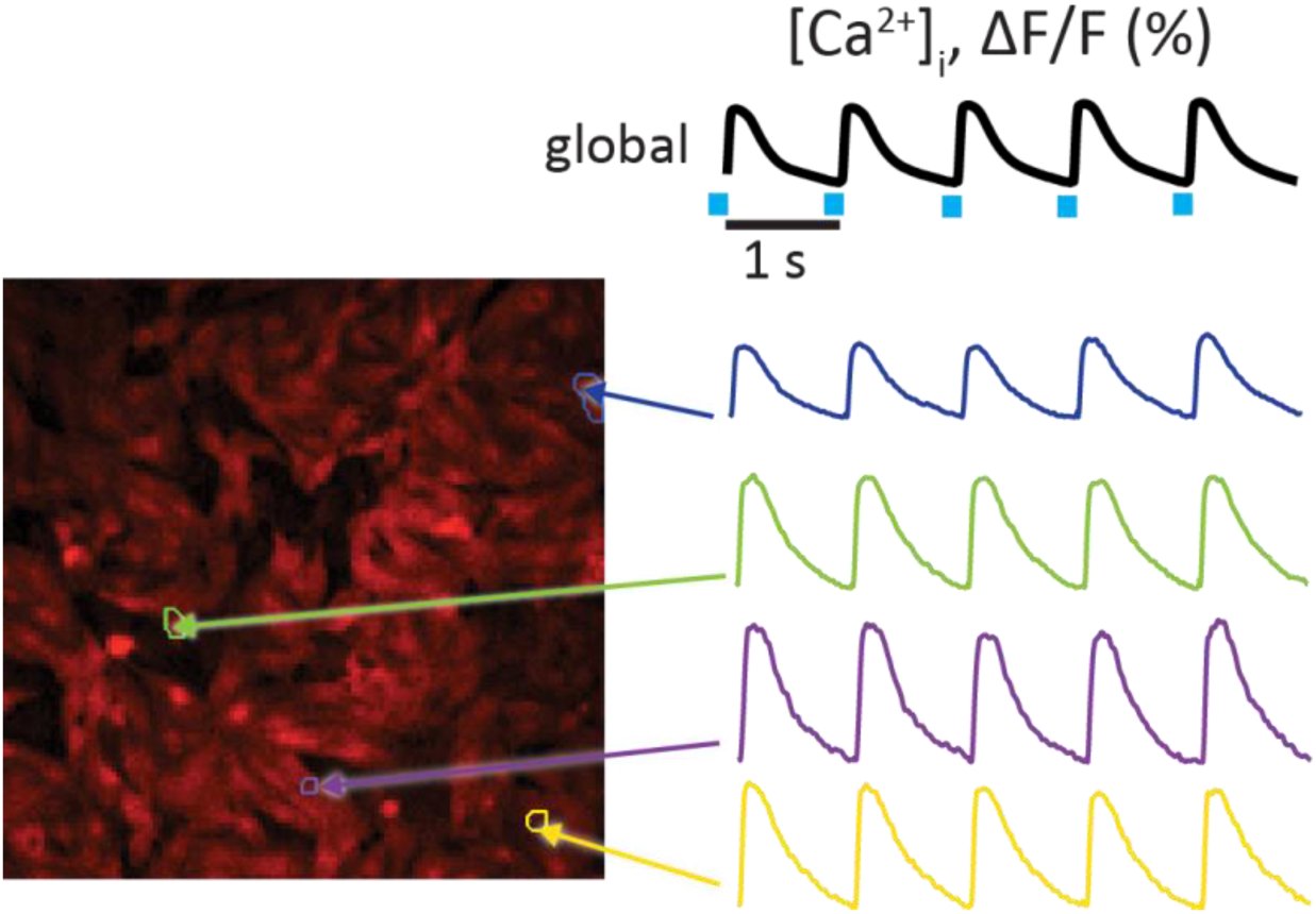 Figure 7