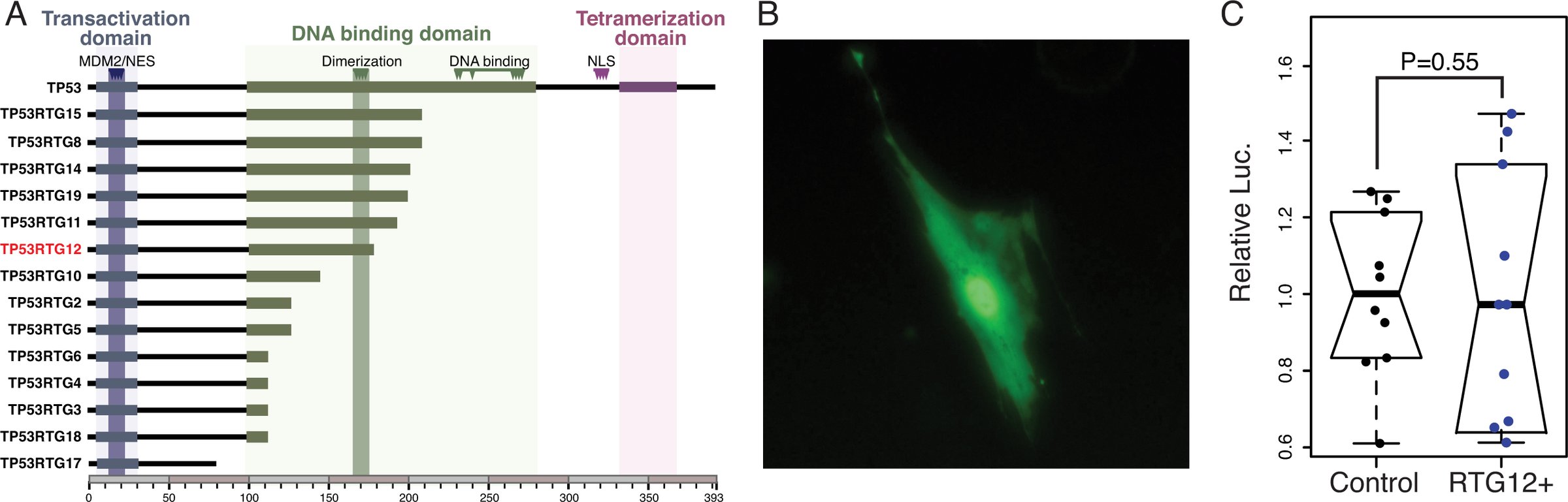 Figure 9