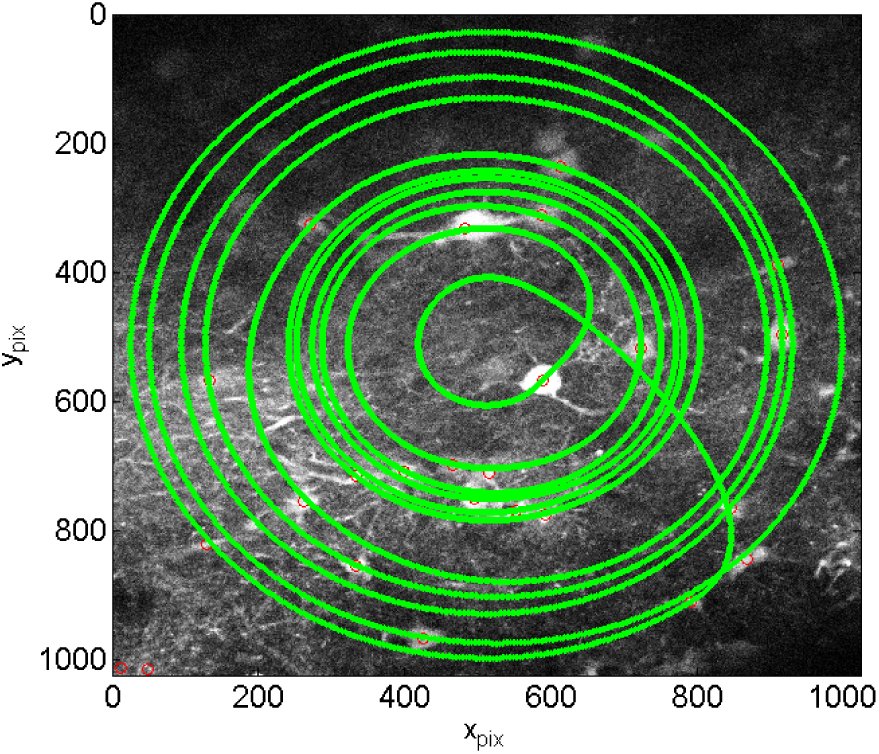 Fig. 3