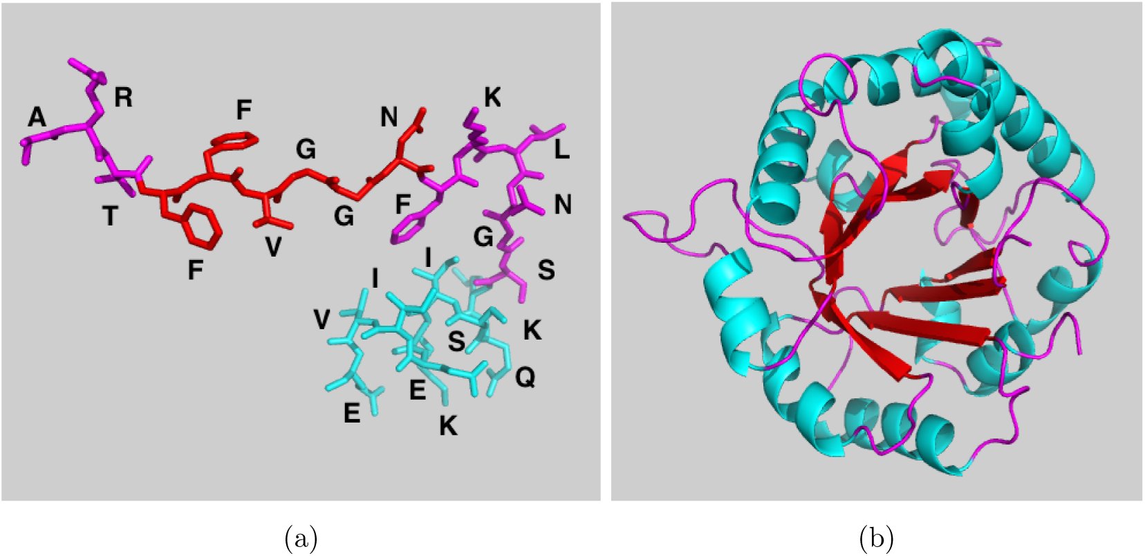 FIG. 1