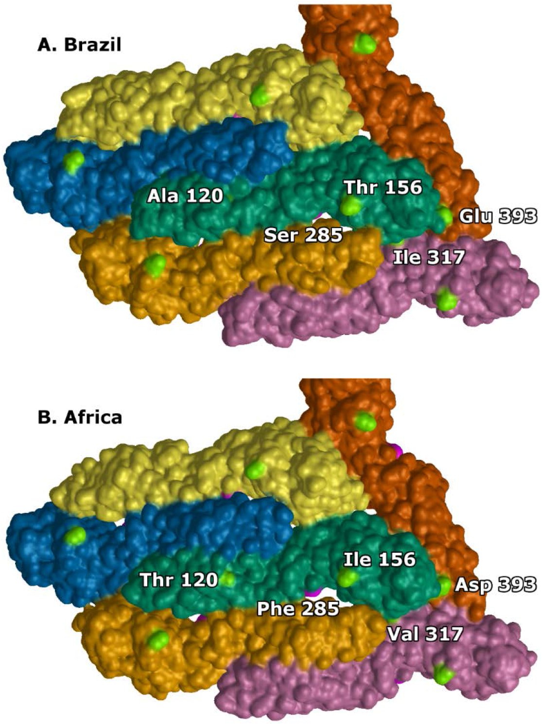 Figure 5