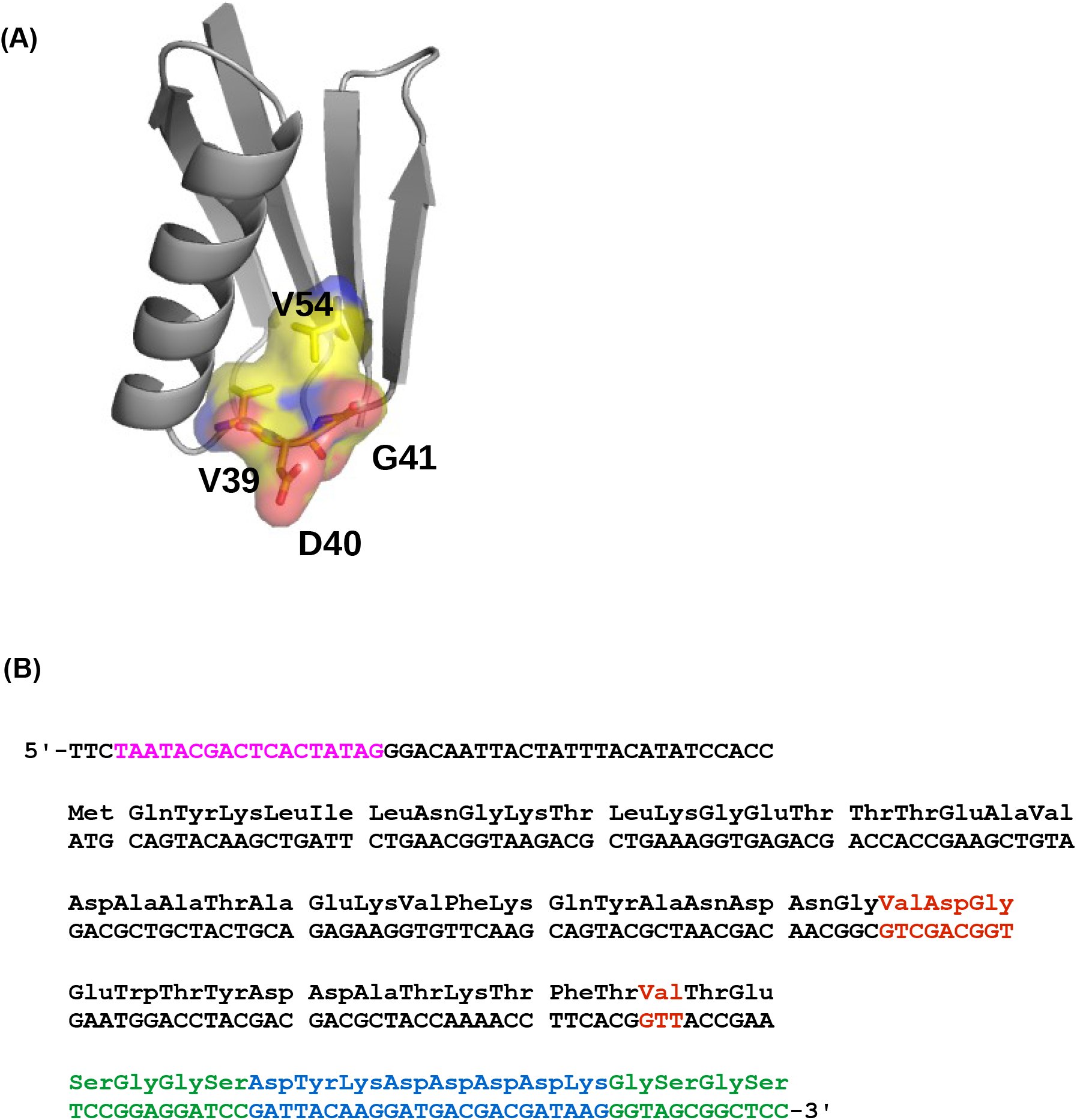 Supplementary Figure 1