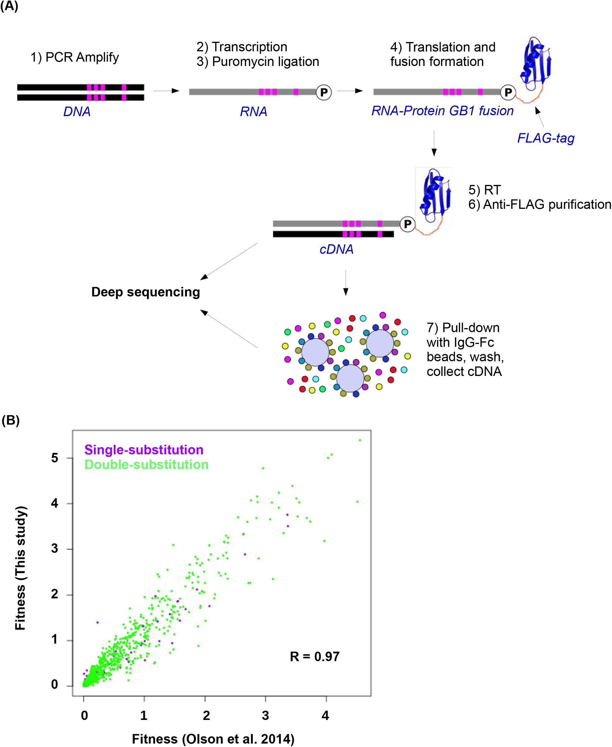 Supplementary Figure 3