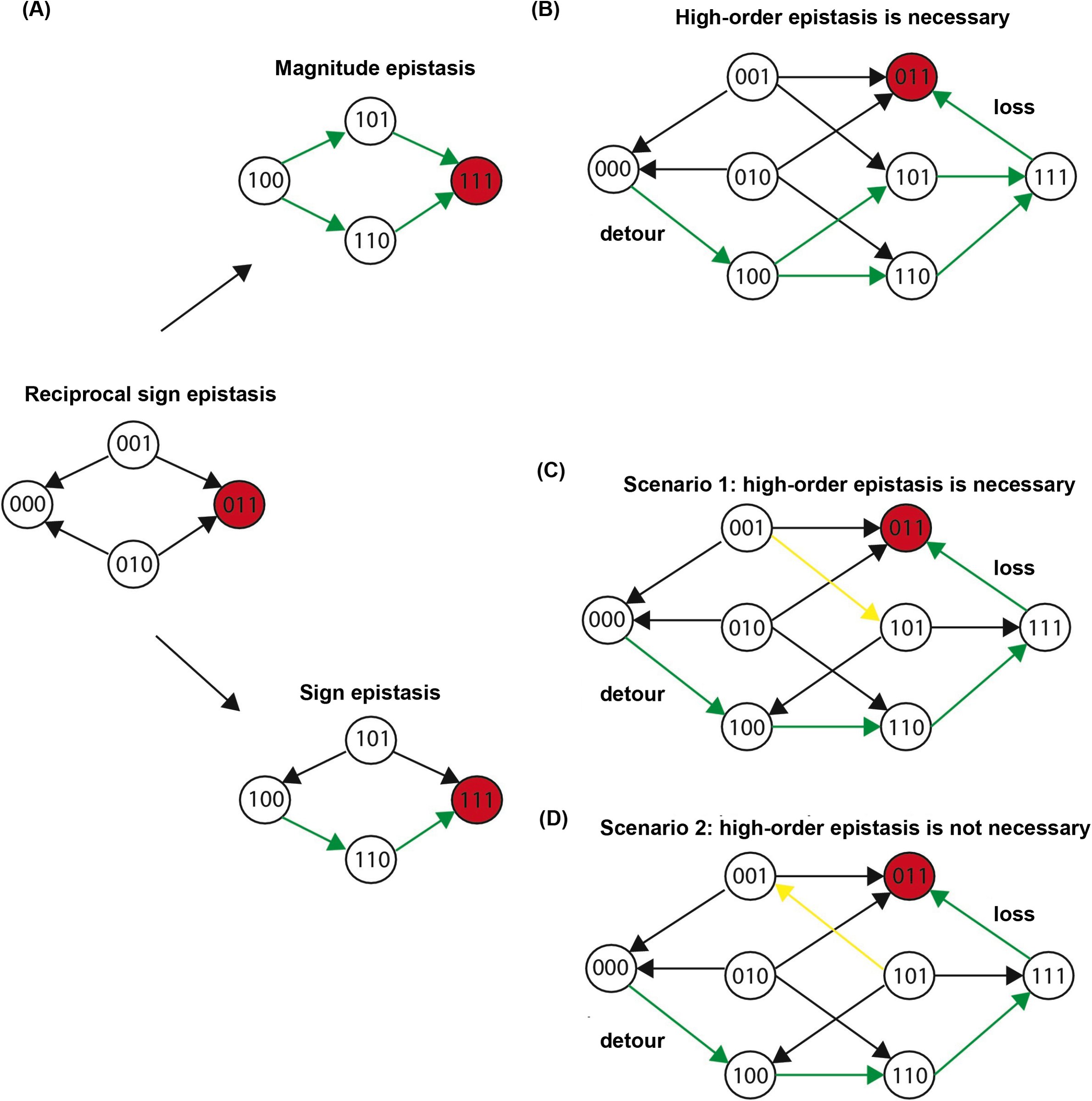Supplementary Figure 5