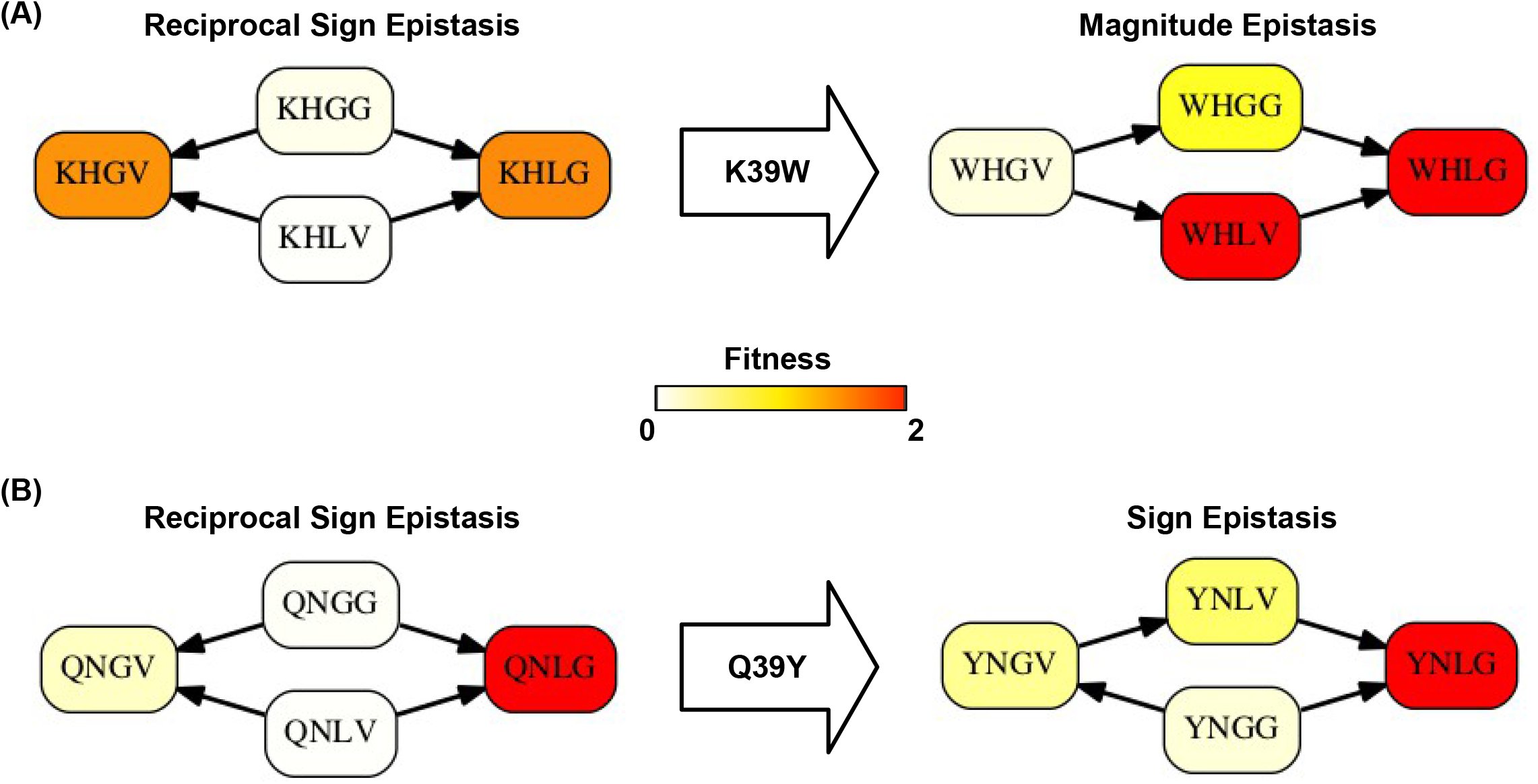 Supplementary Figure 9