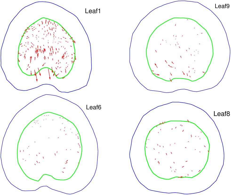 Figure 6