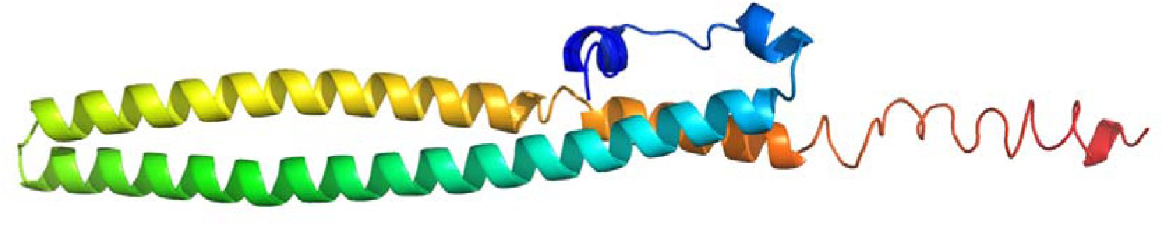 Figure 2B