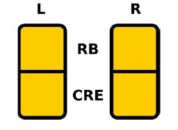 Fig. 10