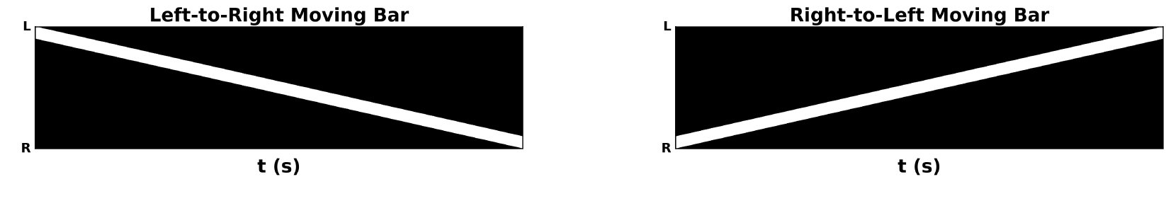 Fig. 33