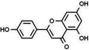 Figure 19