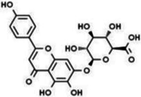 Figure 21