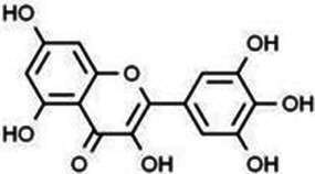 Figure 22