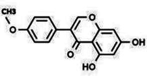 Figure 24
