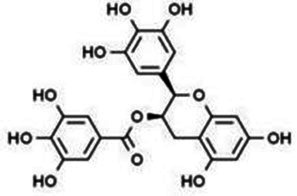 Figure 25