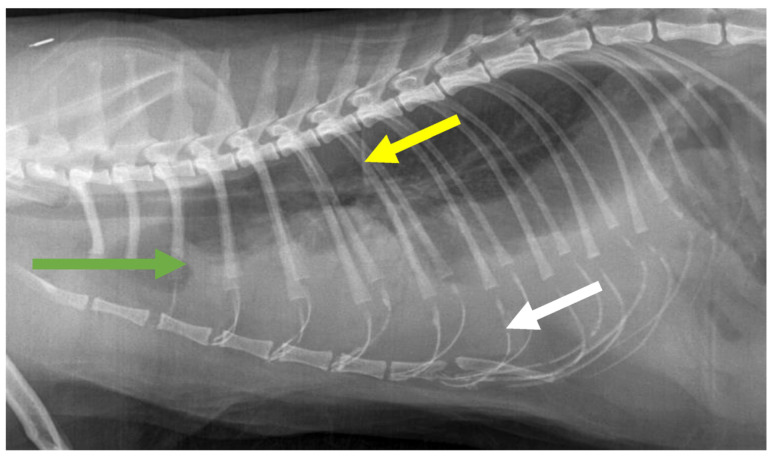 Figure 19
