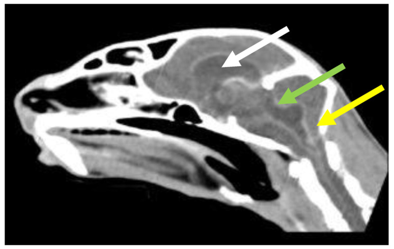 Figure 21