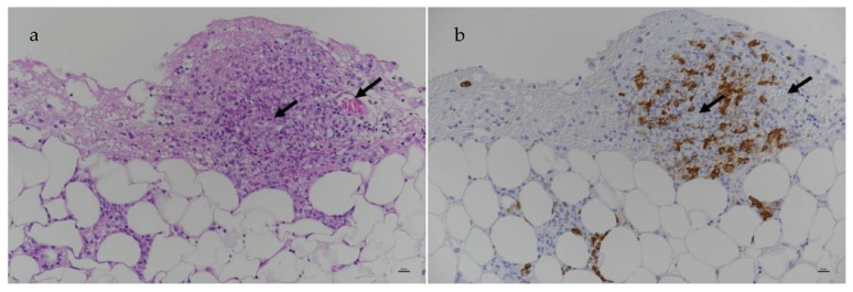 Figure 24