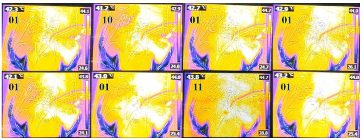 Figure 10