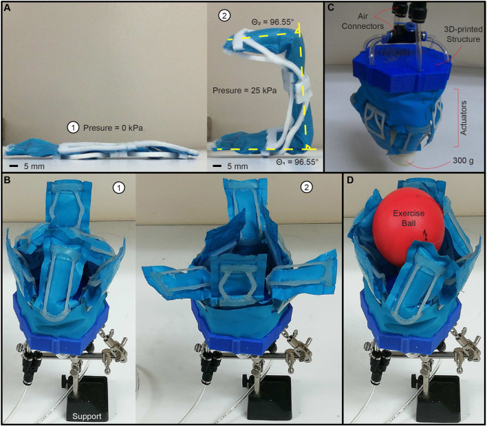 FIGURE 6