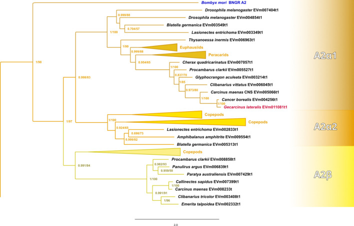 Figure 2